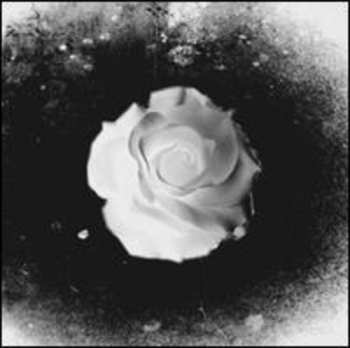 Album Zev: Queen Of Hearts EP