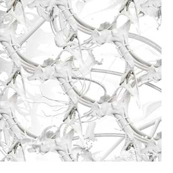 CD Ziúr: U Feel Anything?