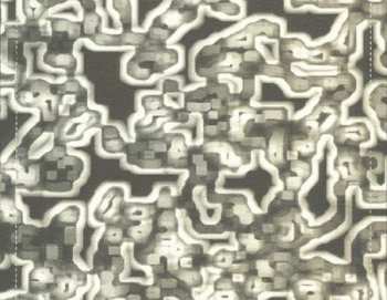 CD Zoviet France: Digilogue